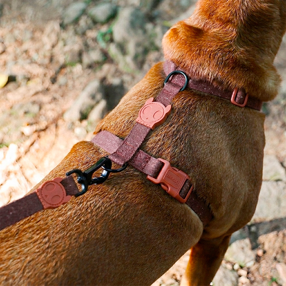 Peitoral para Cachorros H Naturals Cocoa | Imagem 2