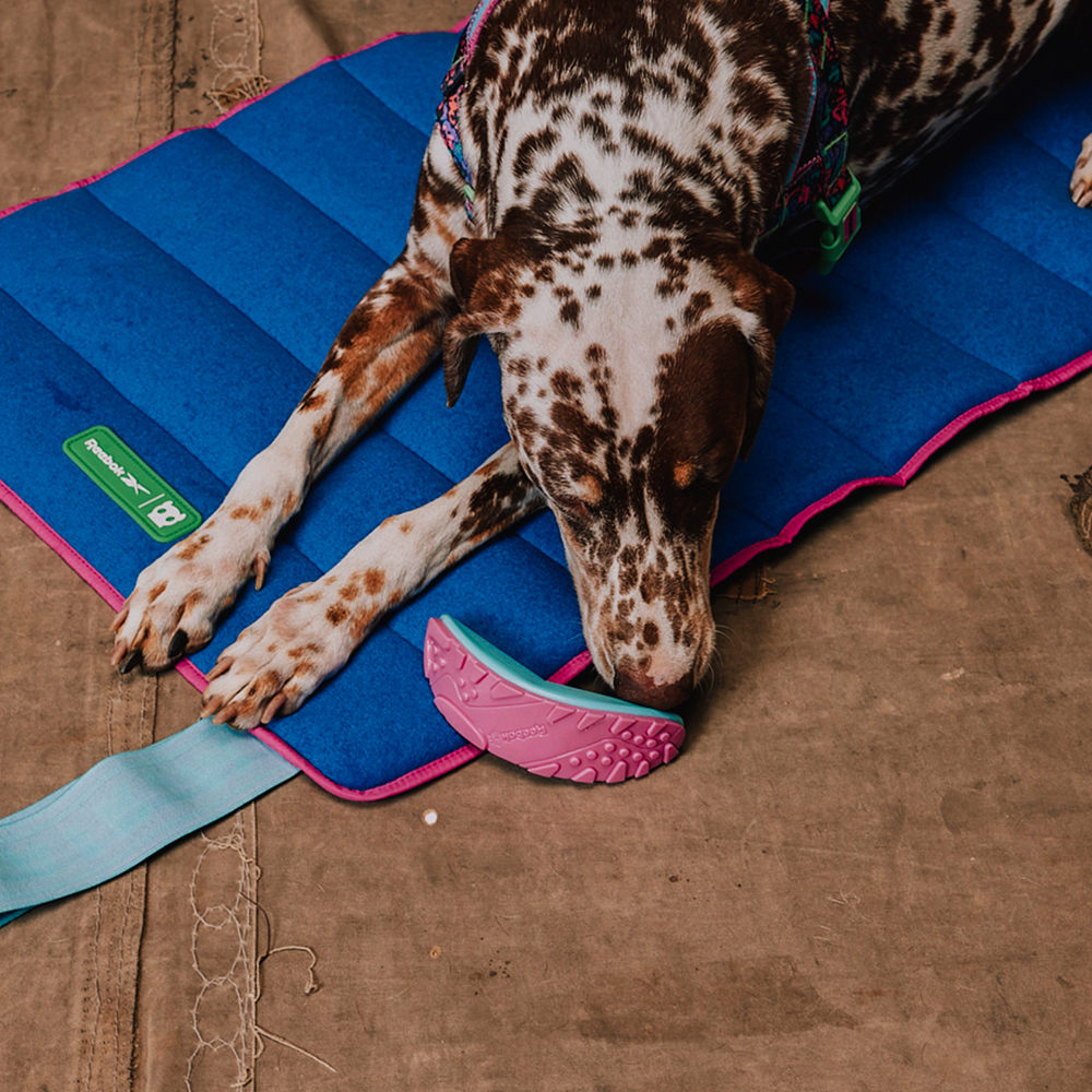 Brinquedo para Cachorros Reebok Aerobic Boomerang