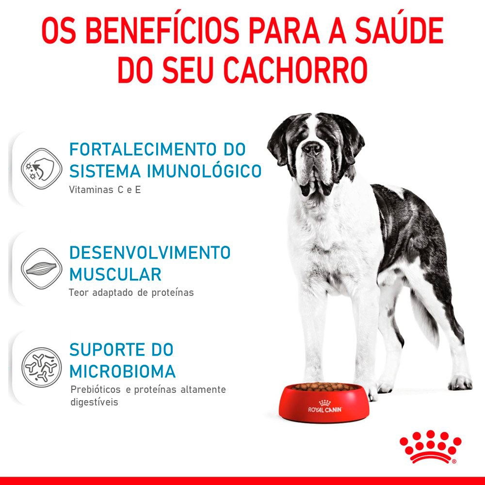 Ração Seca Royal Canin Giant Puppy para Cães Gigantes Filhotes de 8 a 18/24 Meses de Idade