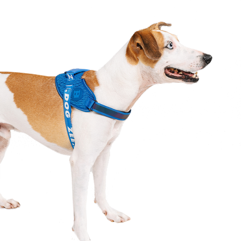 Peitoral para Cachorros FlyHarness Slam Dunk