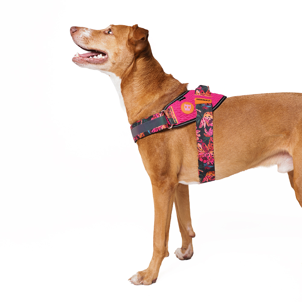 Peitoral para Cachorros FlyHarness FARM Rio Selva