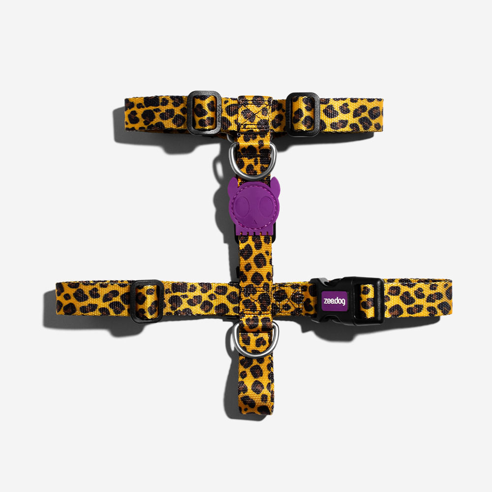 Peitoral para Cachorros H Honey | Imagem 0