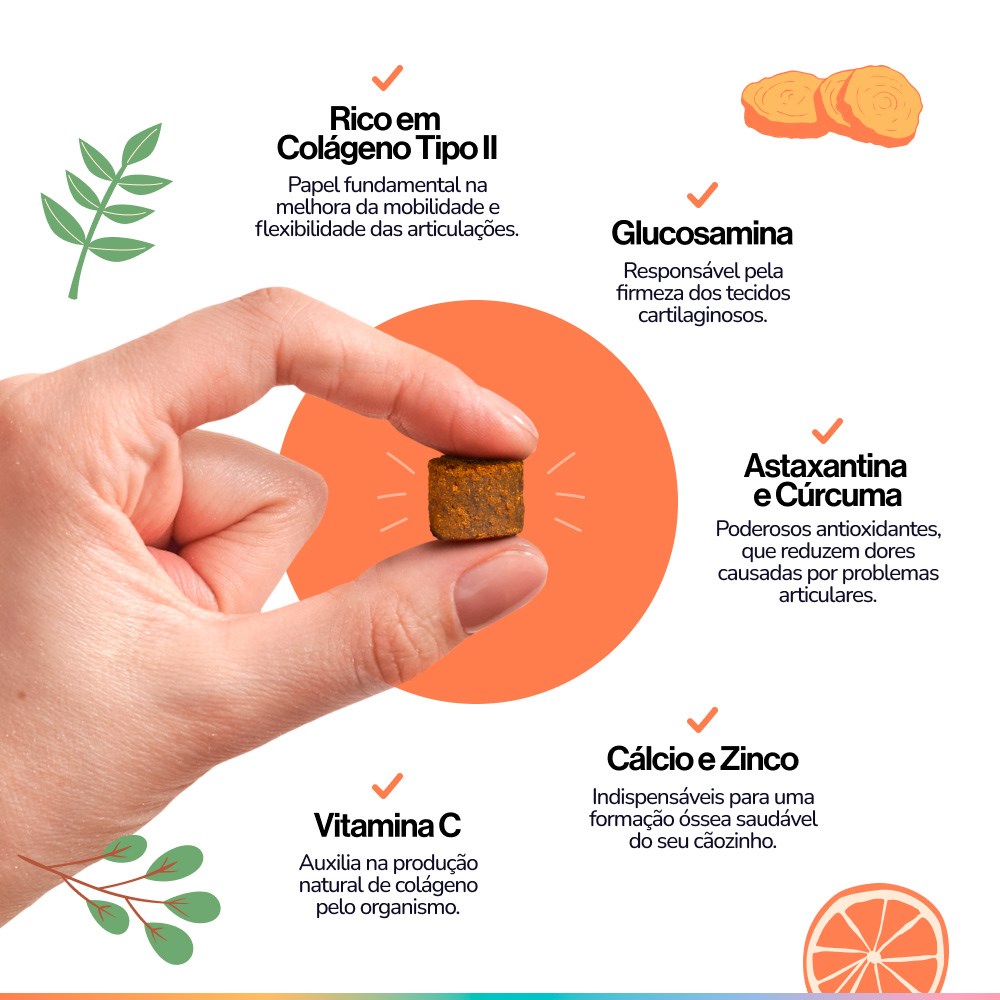 Suplemento Alimentar Buddy Nutrition Ossos & Articulações Sabor Carne para Cães