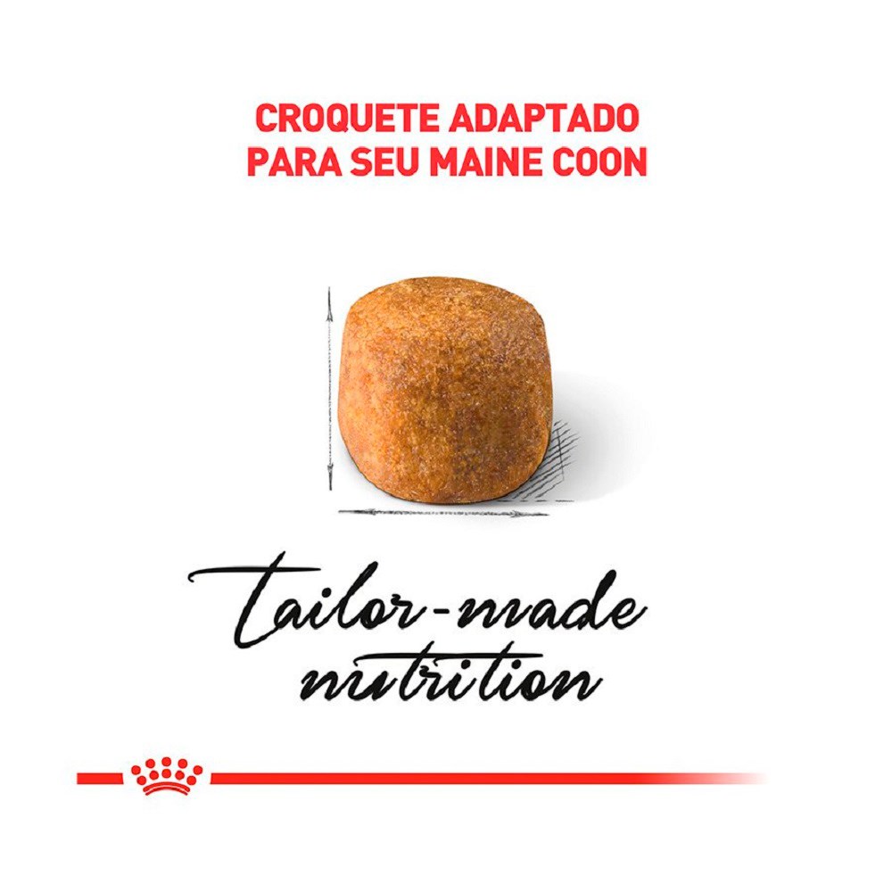 Ração Royal Canin Maine Coon para Gatos Adultos