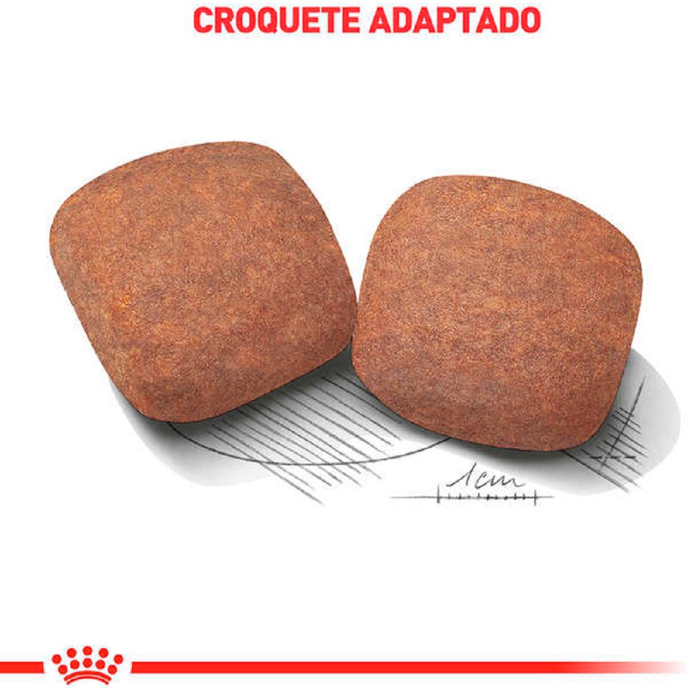 Ração Seca Royal Canin Giant para Cães Adultos ou Idosos de Raças Gigantes