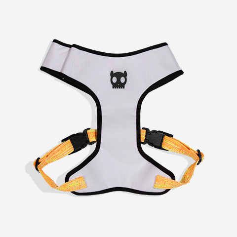 Peitoral para Cachorros Air Mesh Ajustável Fuse Bikr | Zee.Dog