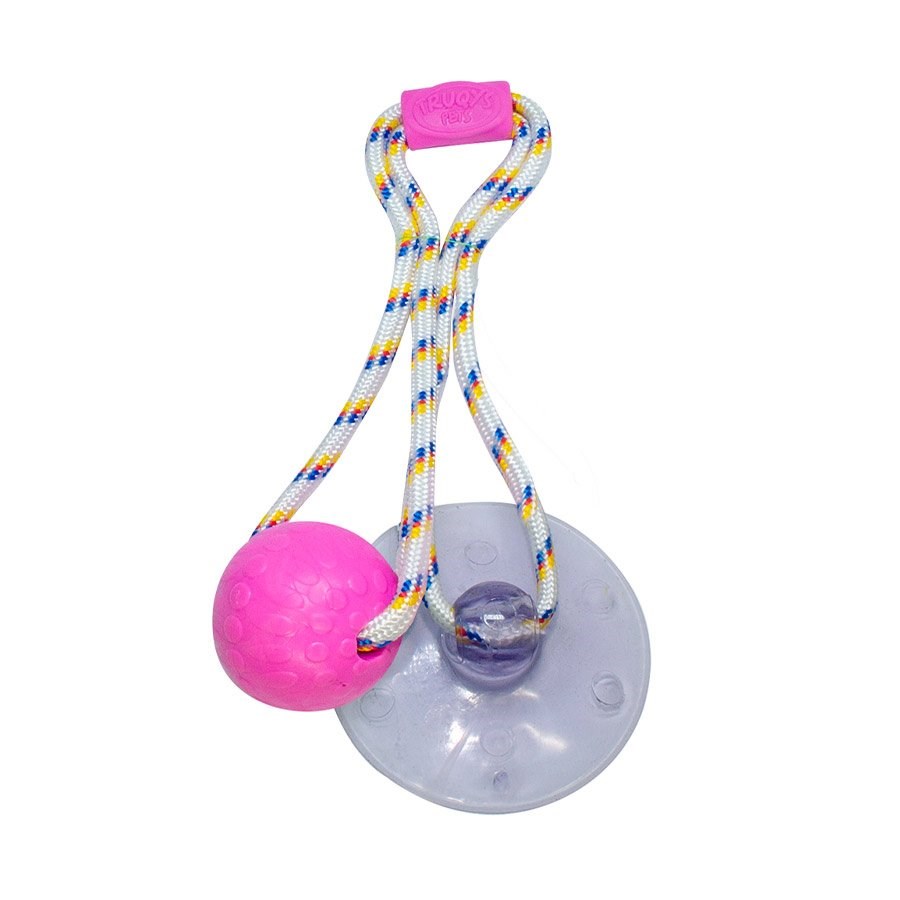Brinquedo Truqys Push Ball Pet Rosa