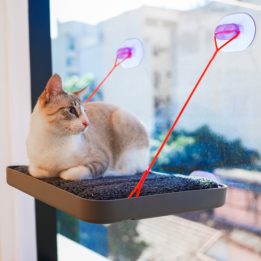 Cama Suspensa Cansei de Ser Gato Sky.Bed 