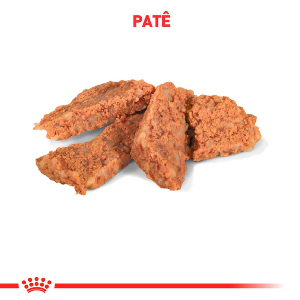 Ração Royal Canin Veterinary Diet Hepatic para Cães - WET