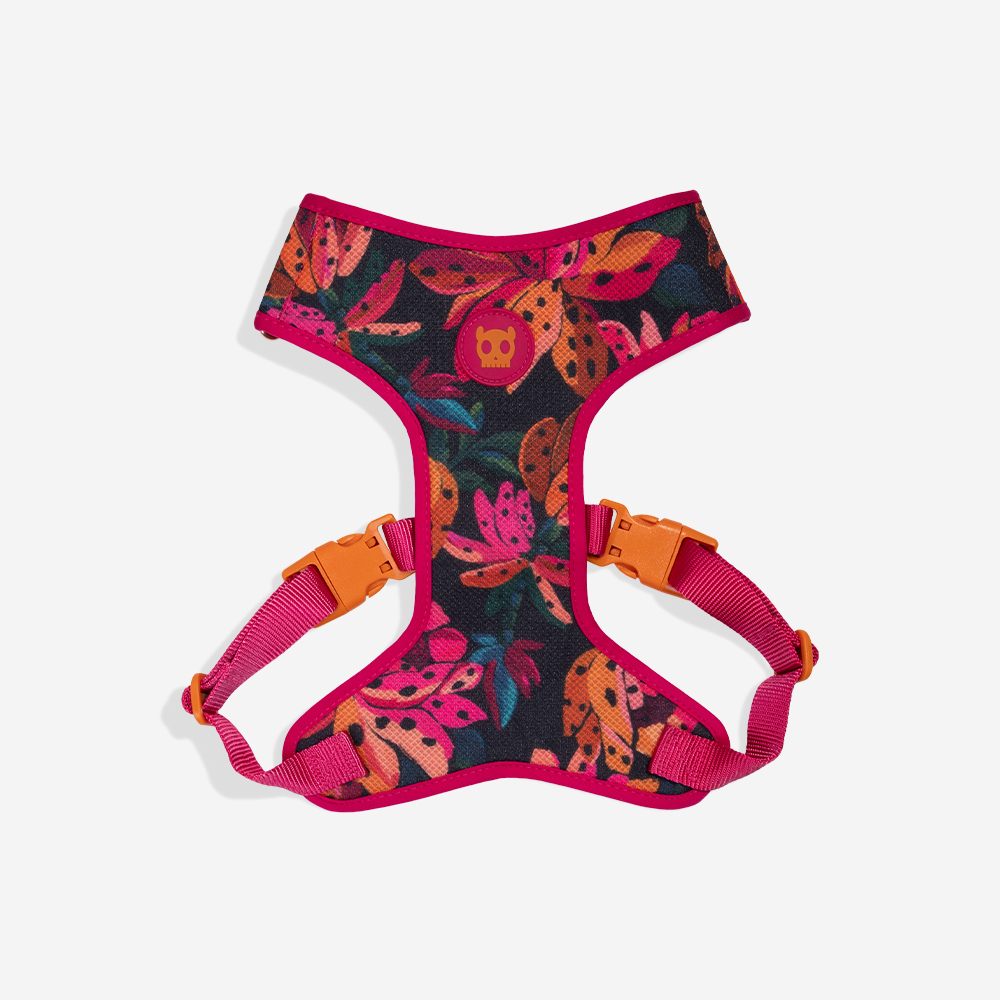 Peitoral para Cachorros Air Mesh Ajustável FARM Rio Selva | Imagem 0
