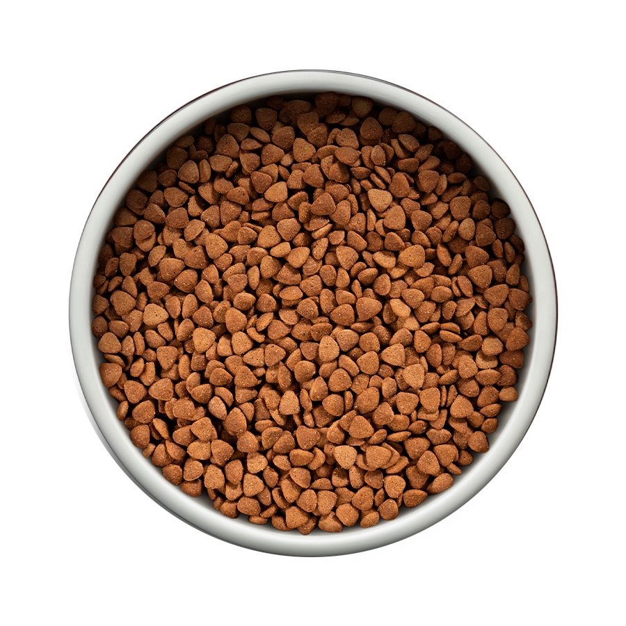 Ração Guabi Natural para Gatos Castrados Sênior sabor Frango e Arroz Integral