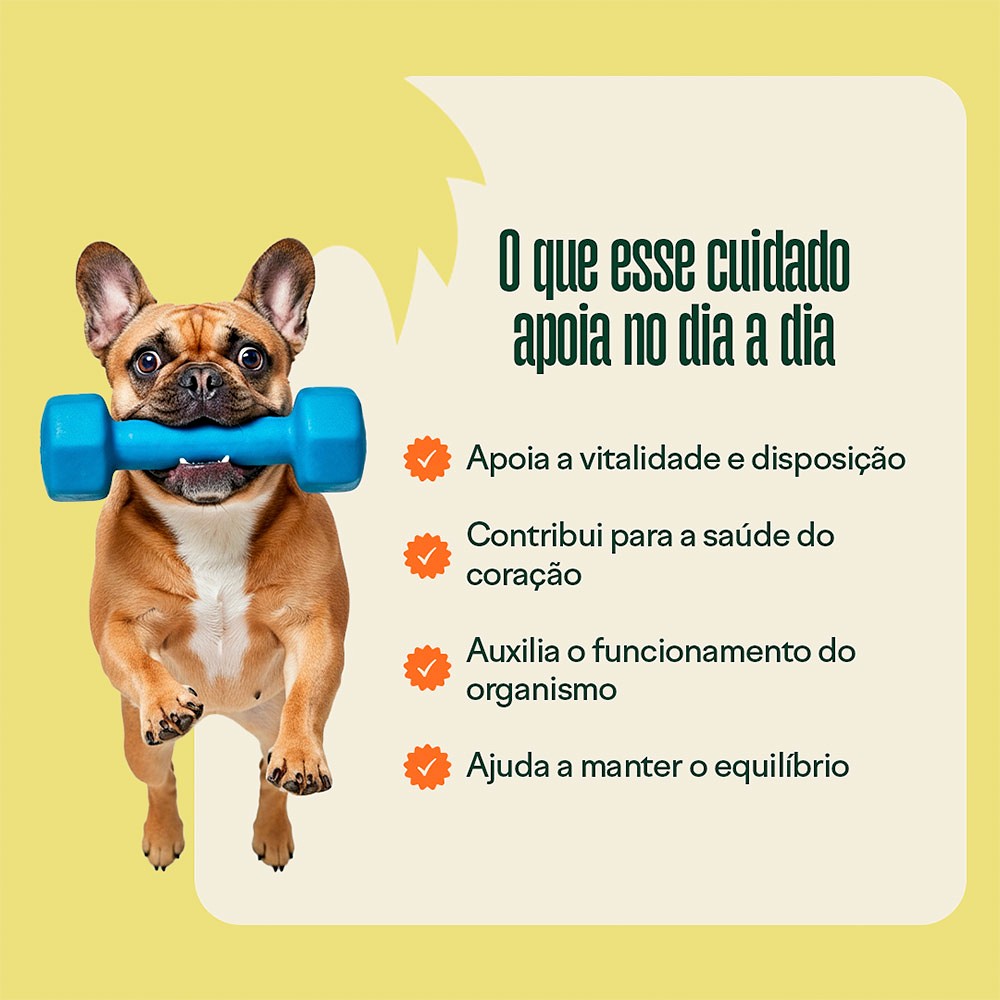 Suplemento Wigow Multivitamínico 10 em 1 para Cães