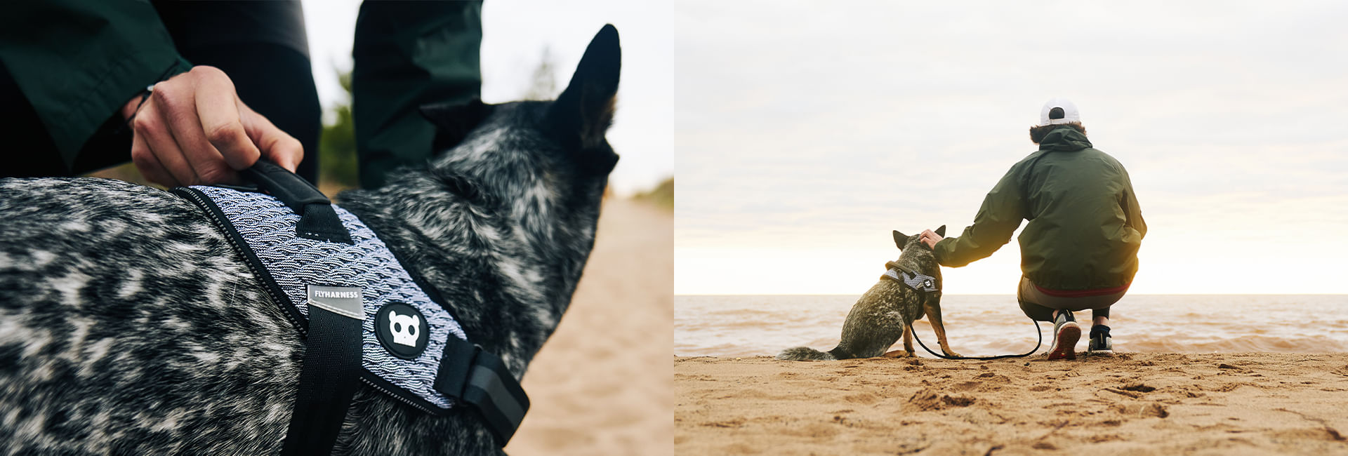 Peitoral para Cachorros FlyHarness Wicked | Lifestyle Images