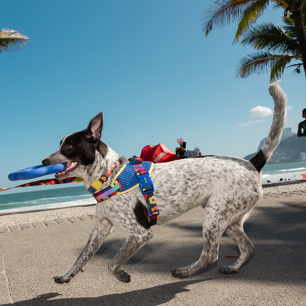 Brinquedo para Cachorros FARM Rio Flor Azul | Imagem 4