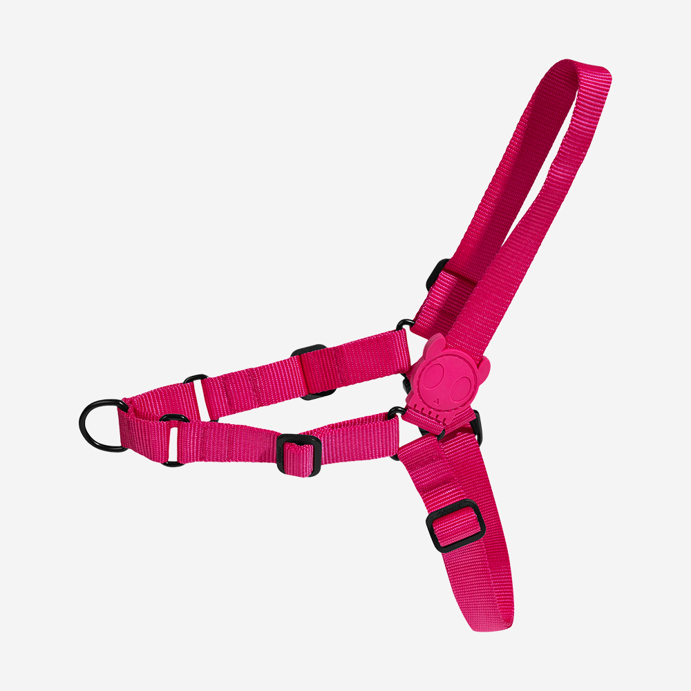 Peitoral para Cachorros Antipuxão Pink Led | Imagem 0