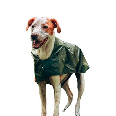 Capa de Chuva Bendog Verde para Cães M