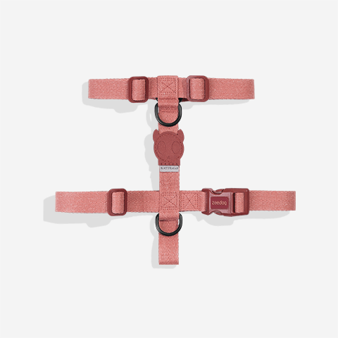 Peitoral para Cachorros H Naturals Canyon | Zee.Dog