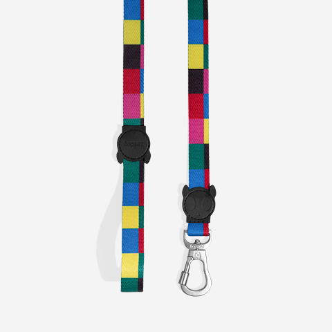 Guia para Cachorros Colorbless P