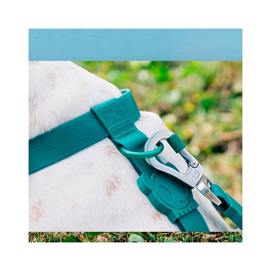 Guia para Cachorros Neopro Amazonia