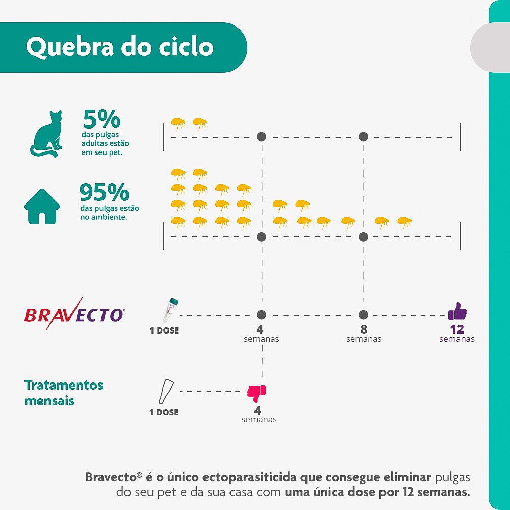 Antipulgas e Carrapatos Bravecto Transdermal para Gatos de 6,25kg a 12,5kg - 500mg