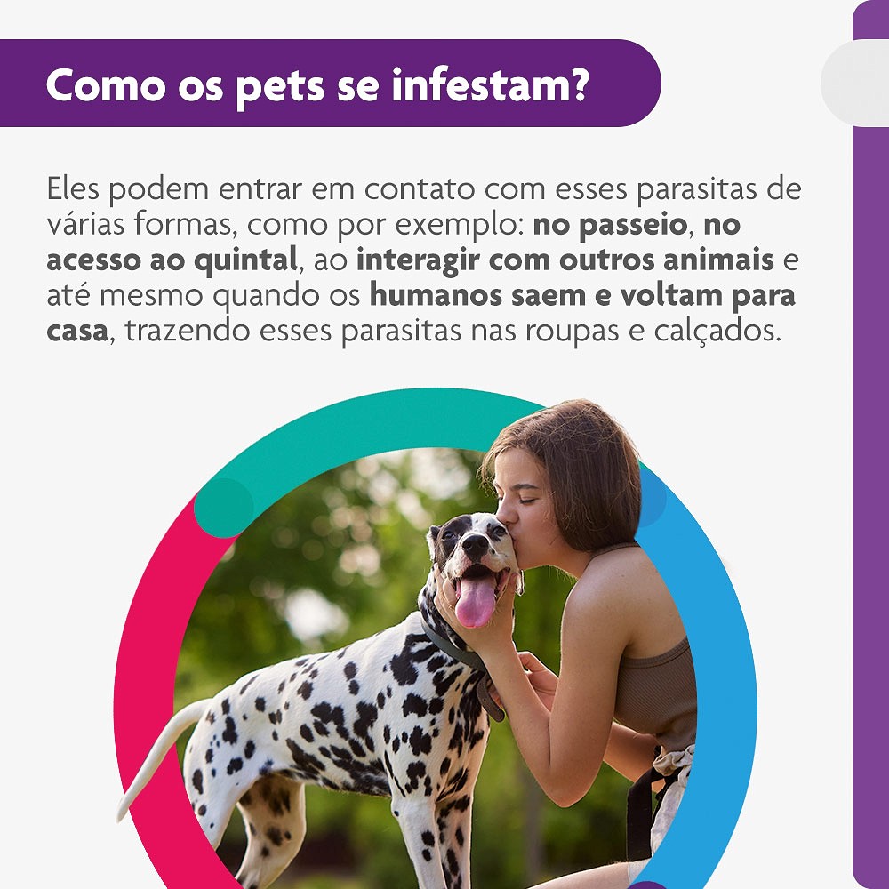 Antipulgas e Carrapatos Bravecto para Cães de 20kg a 40kg - 1000mg