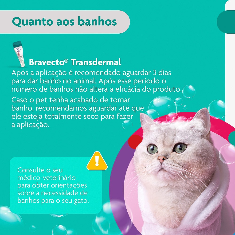 Antipulgas e Carrapatos Bravecto Transdermal para Gatos de 6,25kg a 12,5kg - 500mg