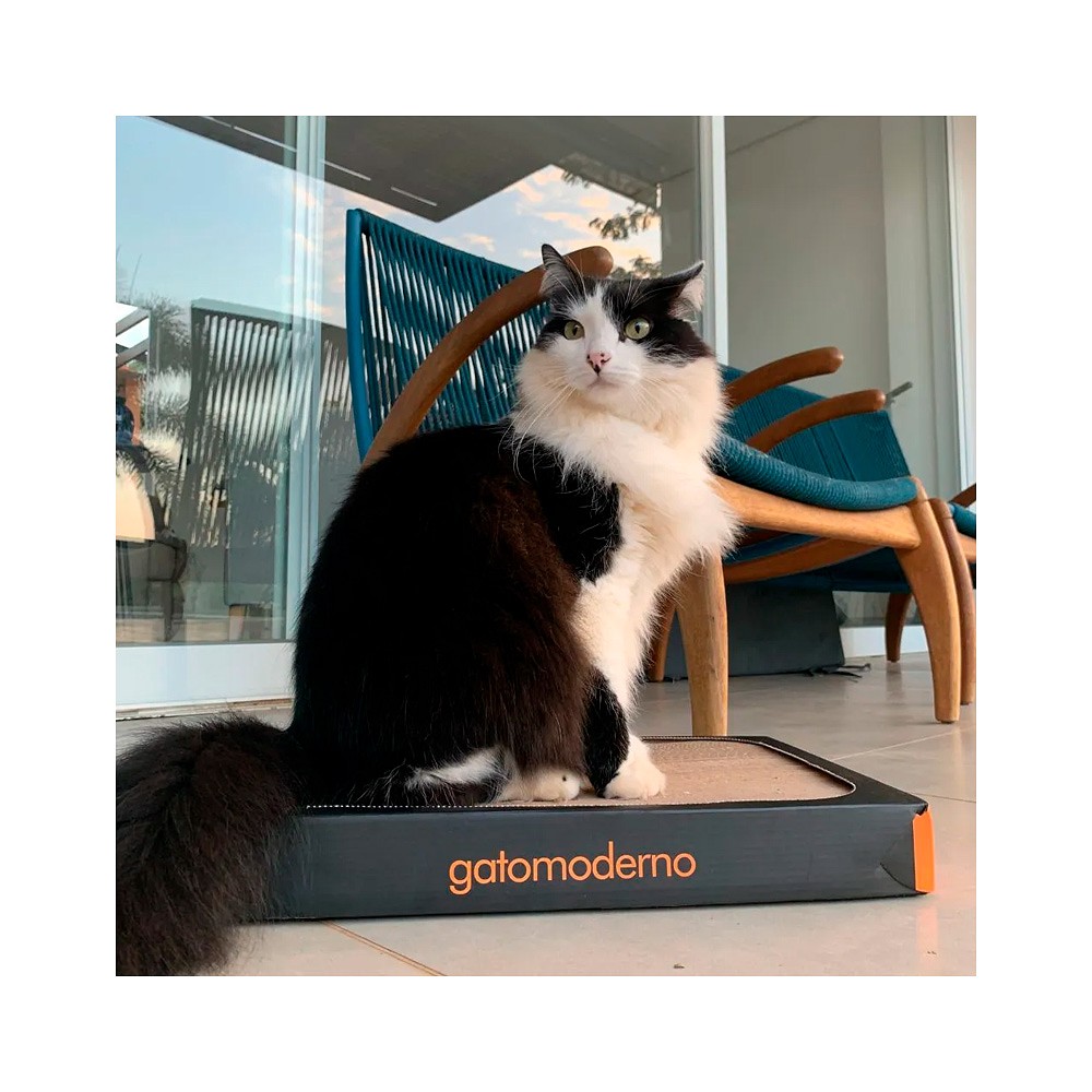 Arranhador Gato Moderno Bali para Gatos