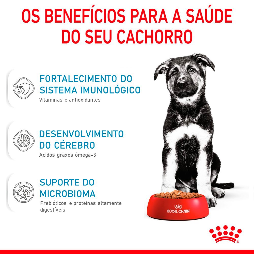 Ração Royal Canin Puppy Maxi para Cães Filhotes de Porte Grande de 2 a 15 Meses de Idade
