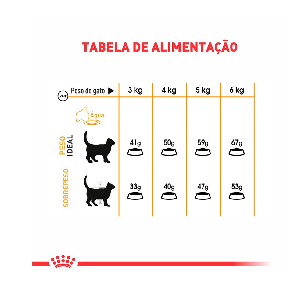 Ração Royal Canin Pele & Pelagem para Gatos Adultos