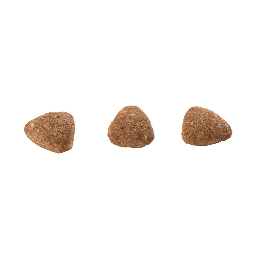 Ração Guabi Natural para Gatos Castrados Sênior sabor Frango e Arroz Integral