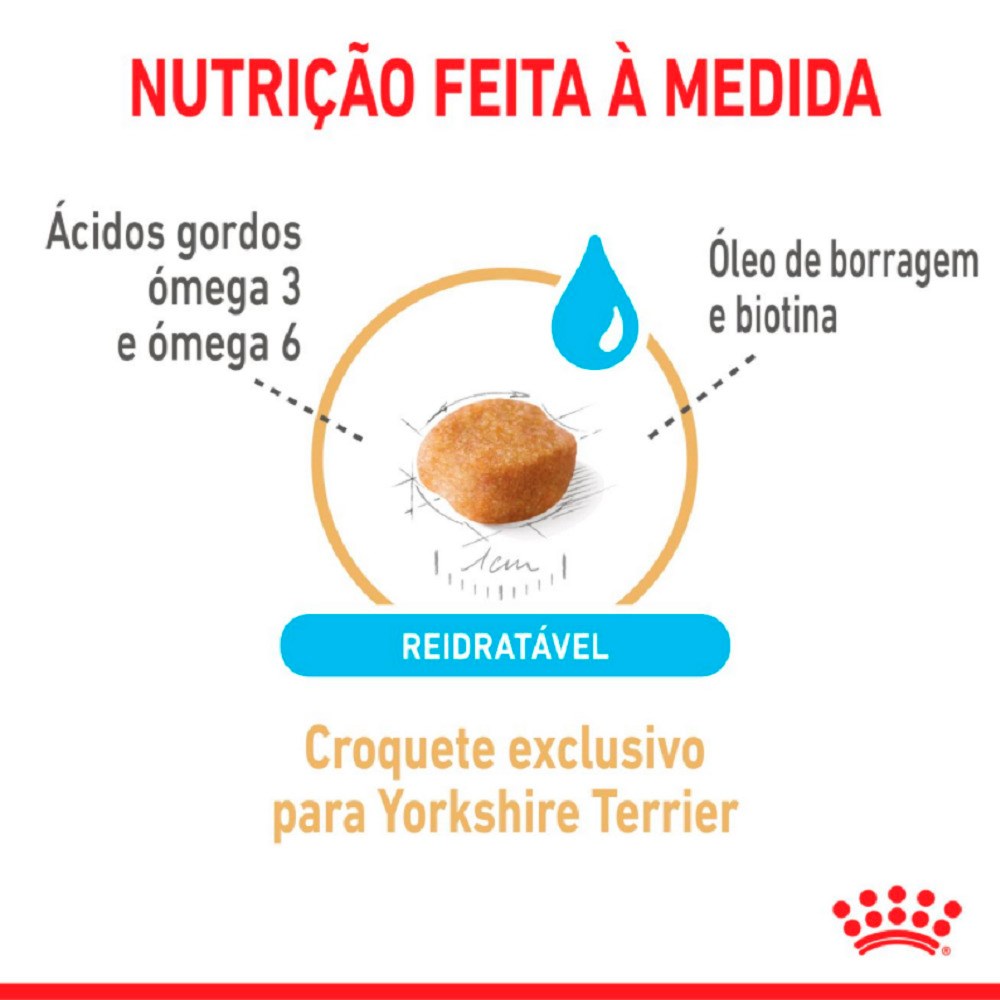 Ração Royal Canin Ageing 8+ para Cães Adultos acima de 8 anos da Raça Yorkshire 