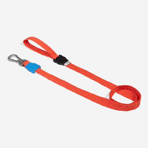 Guia para Cachorros Fuse Grid | Zee.Dog