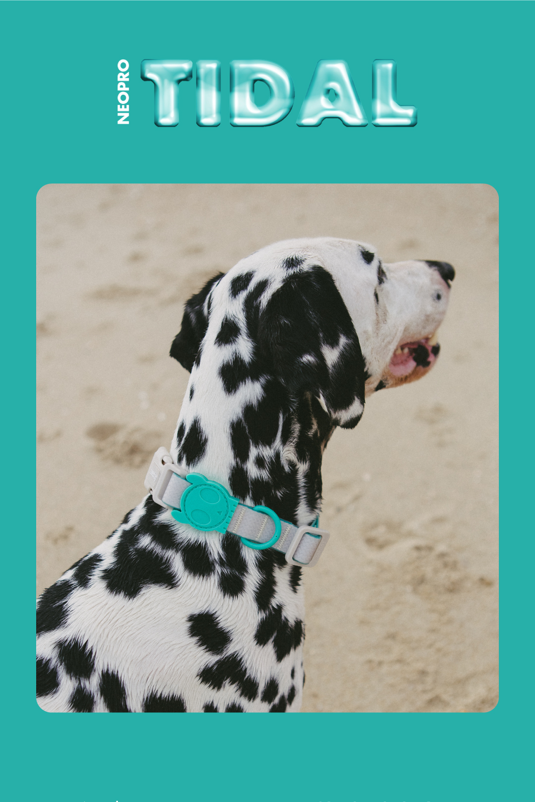 Coleira para Cachorros Neopro Tidal