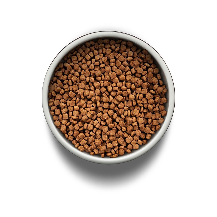 Ração Guabi Natural para Gatos Adultos Castrados sabor Frango & Arroz Integral