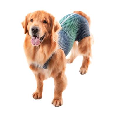 Roupa Cirúrgica Pet Med para Macho Ultra Light Castração Azul e Verde 2