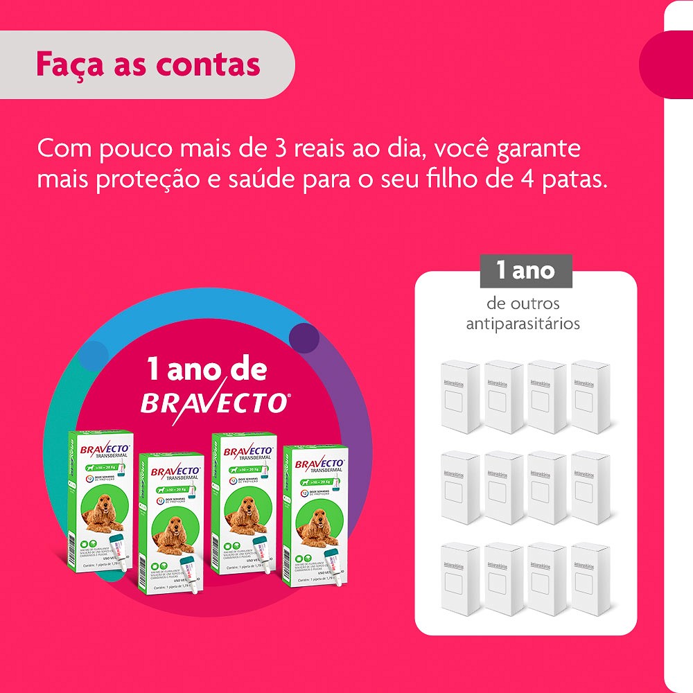 Antipulgas e Carrapatos Bravecto Transdermal para Cães de 10kg a 20kg - 500mg