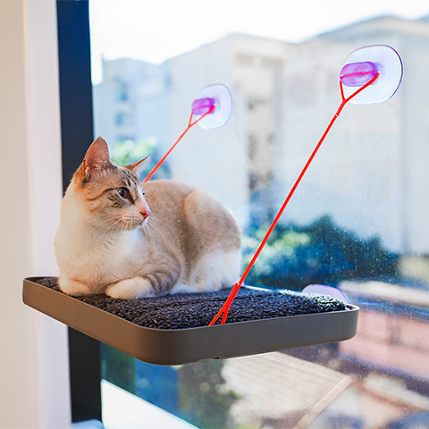 Cama Suspensa Cansei de Ser Gato Sky.Bed | Zee.Dog
