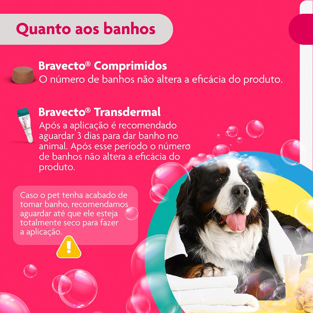 Antipulgas e Carrapatos Bravecto Transdermal para Cães de 40kg a 56kg - 1400mg