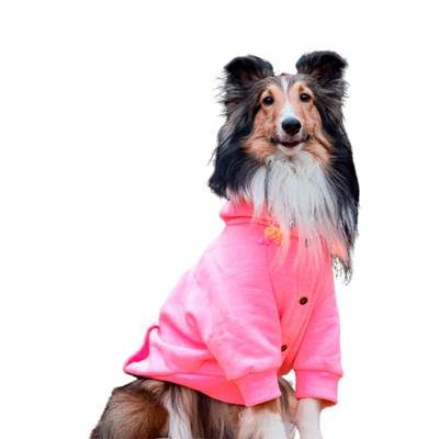 Moletom Bendog Rosa Neon para Cães P