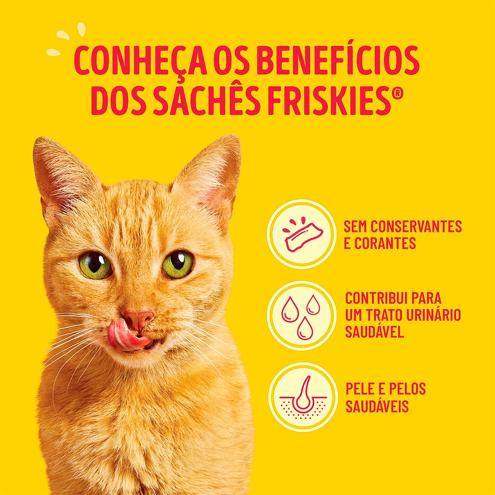 Ração Úmida Friskies Sachê para Gatos Mar de Sabores