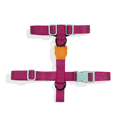 Peitoral para Cachorros H Nox Sidus | Zee.Now