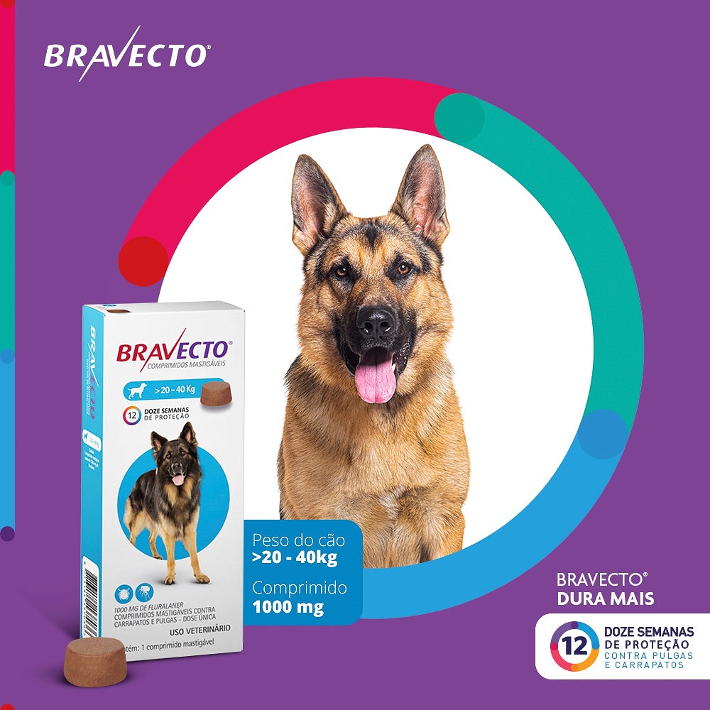 Antipulgas e Carrapatos Bravecto para Cães de 20kg a 40kg - 1000mg