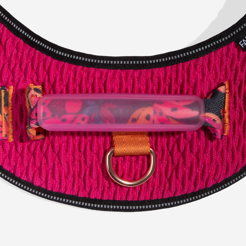 Peitoral para Cachorros FlyHarness FARM Rio Selva | Imagem 3