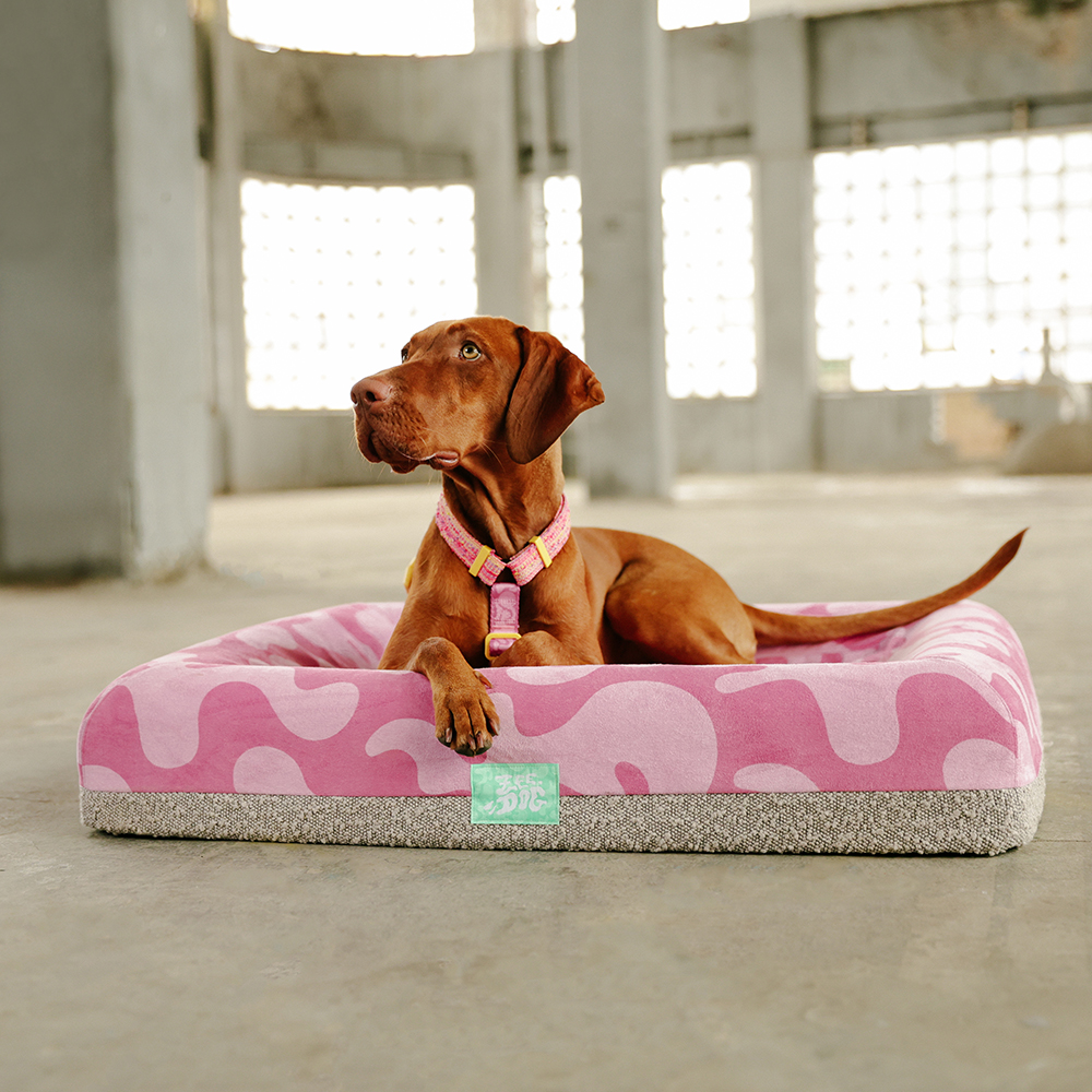 Cama para Cachorros Zee.Bed Fuse Chop