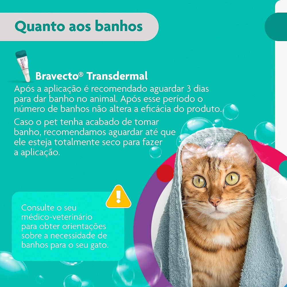 Antipulgas e Carrapatos Bravecto Transdermal para Gatos de 2,8kg a 6,25kg - 250mg