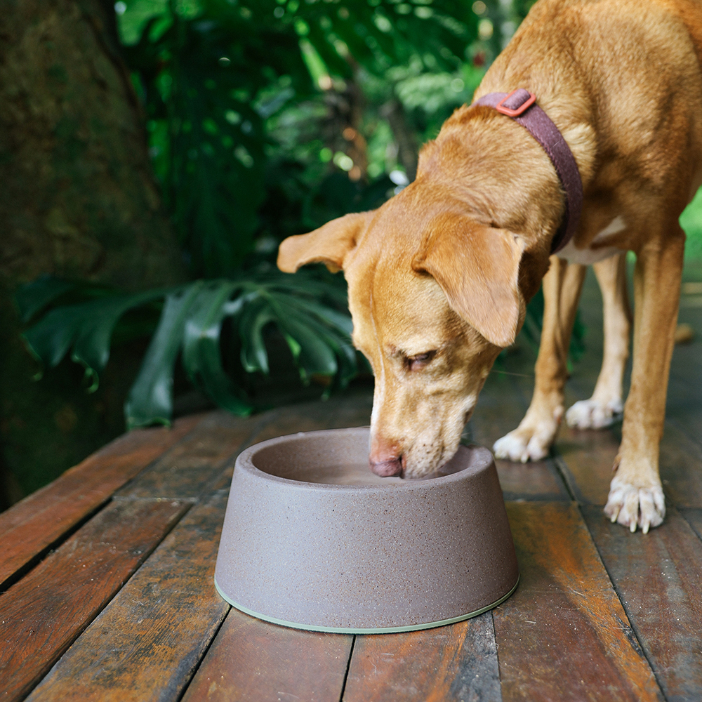Comedouro para Cachorros de Melamina Naturals | Imagem 5