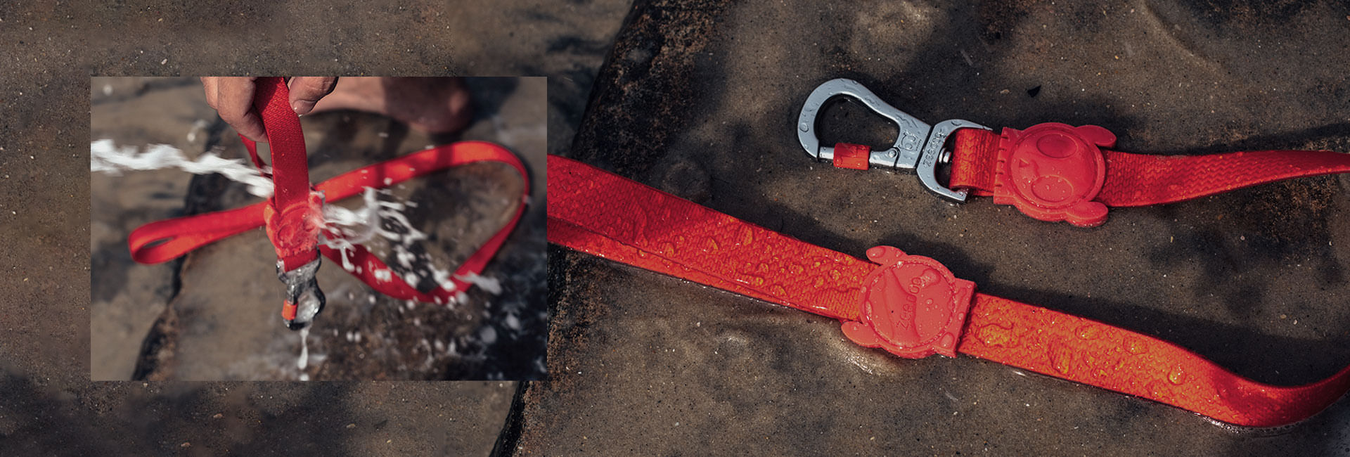 Coleira para Cachorros Neopro Coral | Lifestyle Images