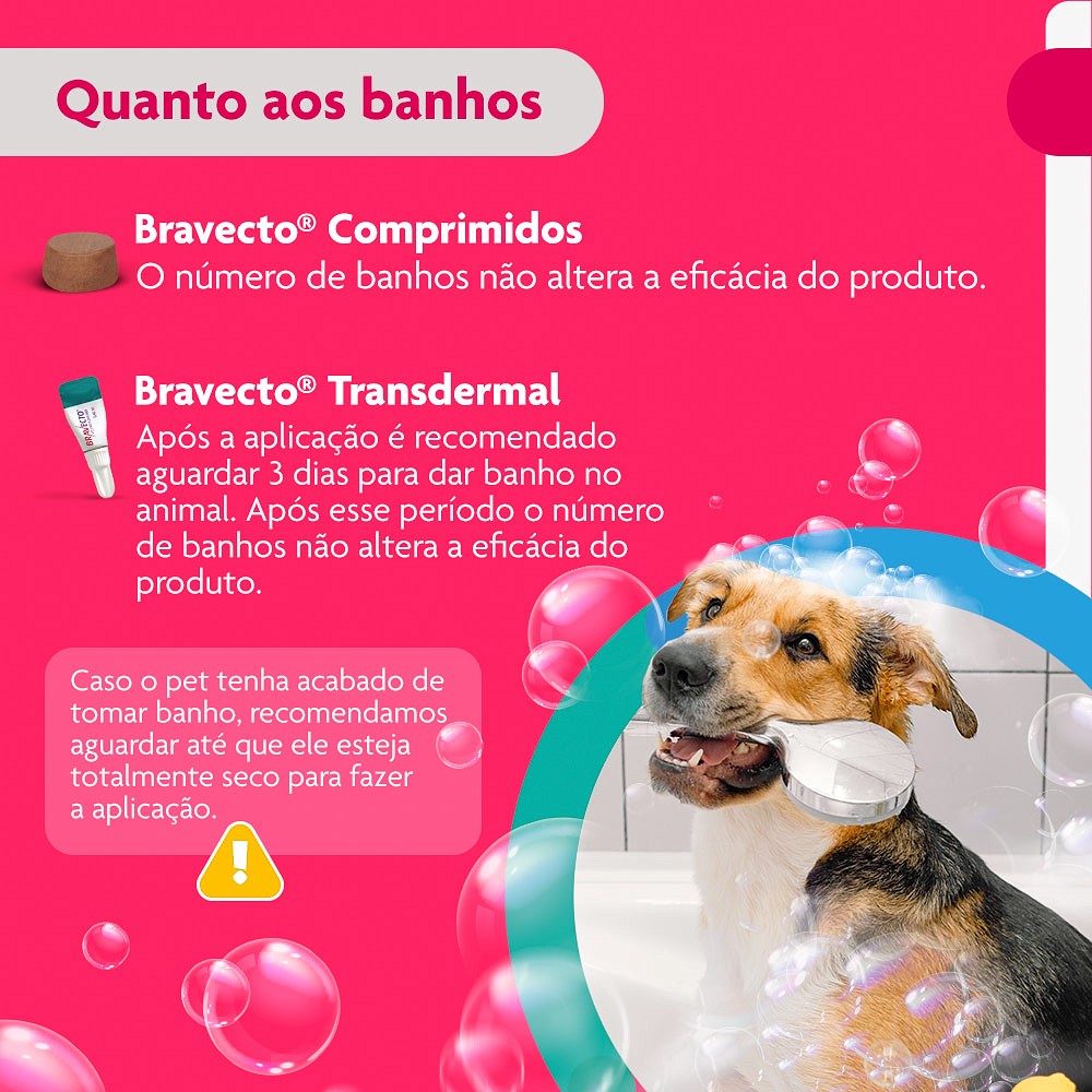 Antipulgas e Carrapatos Bravecto Transdermal para Cães de 10kg a 20kg - 500mg