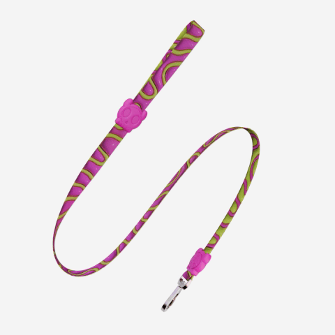 Guia para Cachorros H3D Jelly | Zee.Dog