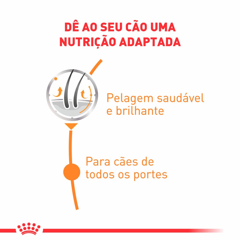 Ração Royal Canin Sachê Coat Beauty para Cães Adultos